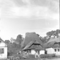 2025-09-28-0010.jpg