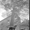 2025-09-30-0042.jpg