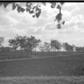 2025-10-01-0021.jpg