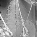 2025-10-01-0024.jpg