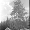 2025-09-30-0030.jpg