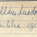 GeorgeCserna_V1_S4__Title_4_Hullamfurdo_BasilikaÉgése.png