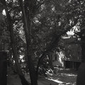 GeorgeCserna_V1_S5_img125.jpg