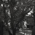 GeorgeCserna_V1_S5_img126.jpg