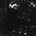 GeorgeCserna_V1_S5_img128.jpg