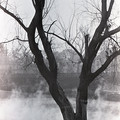 GeorgeCserna_V1_S7_img180.jpg