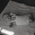 GeorgeCserna_V1_S7_img185.jpg