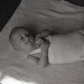 GeorgeCserna_V1_S7_img187.jpg