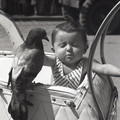 GeorgeCserna_V1_S8_img198.jpg