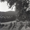 GeorgeCserna_V1_S8_img203.jpg
