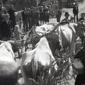 GeorgeCserna_V1_S8_img207.jpg