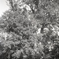 GeorgeCserna_V2_S1_img351.jpg