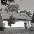 GeorgeCserna_V2_S1_img370.jpg