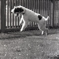 GeorgeCserna_V2_S10_img622.jpg