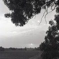 GeorgeCserna_V2_S10_img628.jpg