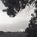 GeorgeCserna_V2_S10_img629.jpg