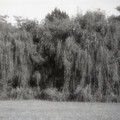 GeorgeCserna_V2_S10_img631.jpg