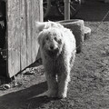 GeorgeCserna_V2_S10_img633.jpg