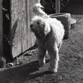 GeorgeCserna_V2_S10_img634.jpg