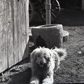 GeorgeCserna_V2_S10_img635.jpg