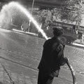 GeorgeCserna_V2_S11_img667.jpg