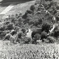 GeorgeCserna_V2_S16_img758.jpg