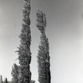 GeorgeCserna_V2_S16_img764.jpg