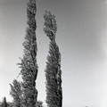 GeorgeCserna_V2_S16_img765.jpg