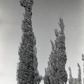 GeorgeCserna_V2_S16_img766.jpg