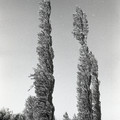GeorgeCserna_V2_S16_img767.jpg