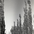 GeorgeCserna_V2_S16_img768.jpg