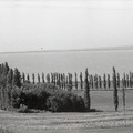 GeorgeCserna_V2_S16_img769.jpg