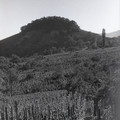 GeorgeCserna_V2_S16_img771.jpg