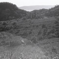 GeorgeCserna_V2_S16_img773.jpg