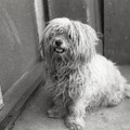 GeorgeCserna_V2_S16_img775.jpg