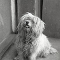 GeorgeCserna_V2_S16_img777.jpg