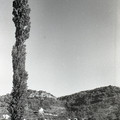GeorgeCserna_V2_S16_img781.jpg