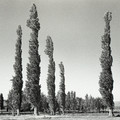 GeorgeCserna_V2_S16_img782.jpg
