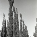 GeorgeCserna_V2_S16_img783.jpg