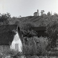 GeorgeCserna_V2_S16_img785.jpg