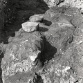 GeorgeCserna_V2_S18_img826.jpg