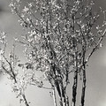 GeorgeCserna_V2_S18_img827.jpg
