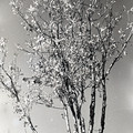 GeorgeCserna_V2_S18_img828.jpg