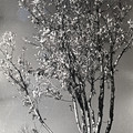 GeorgeCserna_V2_S18_img829.jpg