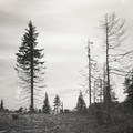 GeorgeCserna_V2_S2_img391.jpg