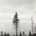 GeorgeCserna_V2_S2_img392.jpg
