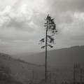 GeorgeCserna_V2_S2_img395.jpg