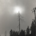 GeorgeCserna_V2_S2_img397.jpg