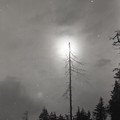 GeorgeCserna_V2_S2_img398.jpg