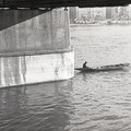 GeorgeCserna_V2_S21_img915.jpg